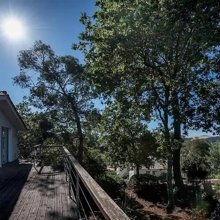 Pyla De La Dune Promo 2026 La Teste-de-Buch