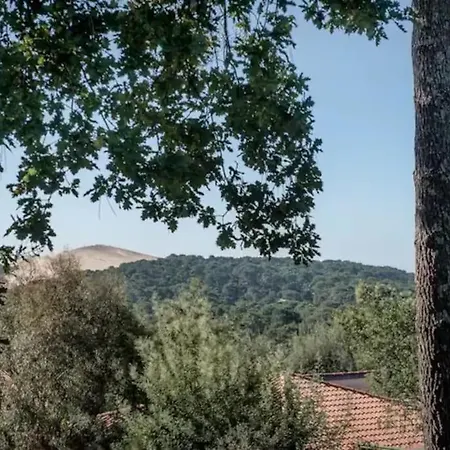 Pyla De La Dune Promo Mai 2025