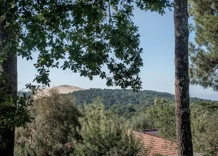 Pyla De La Dune Promo 2026